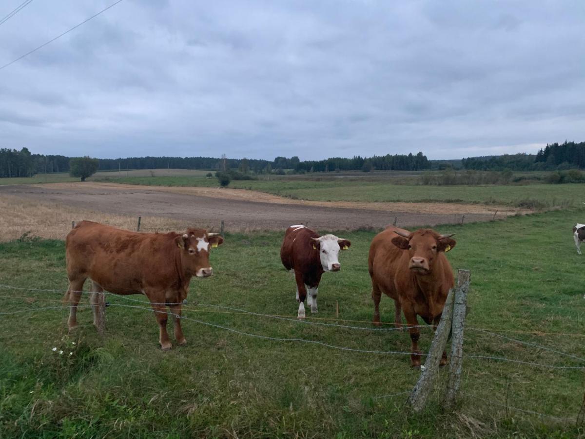 Gizycko-Przerwanki Domki Widok Na Mazury Kültér fotó