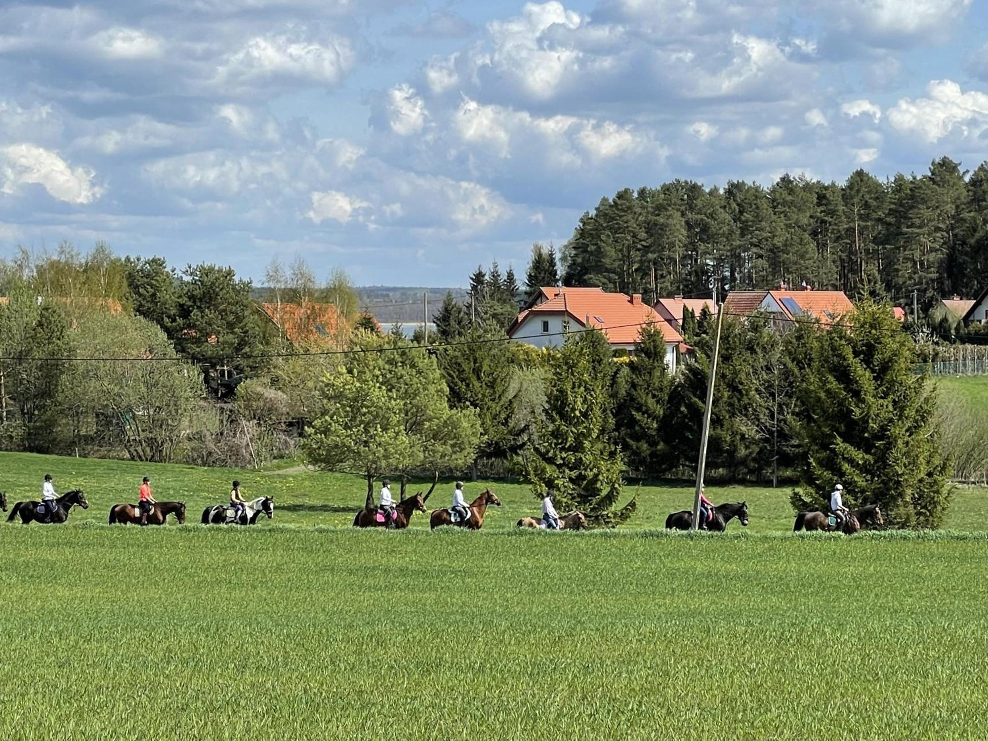 Gizycko-Przerwanki Domki Widok Na Mazury Kültér fotó