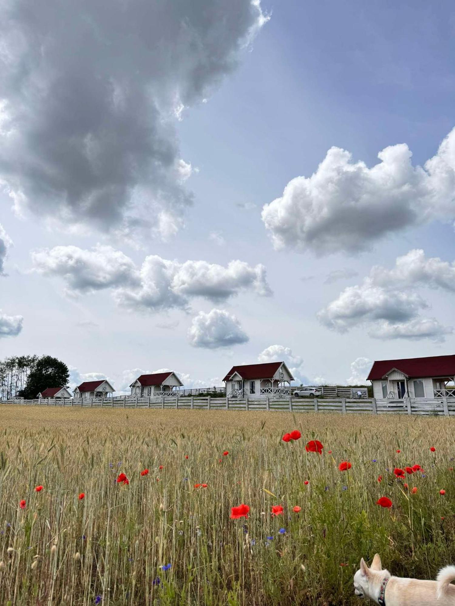 Gizycko-Przerwanki Domki Widok Na Mazury Kültér fotó